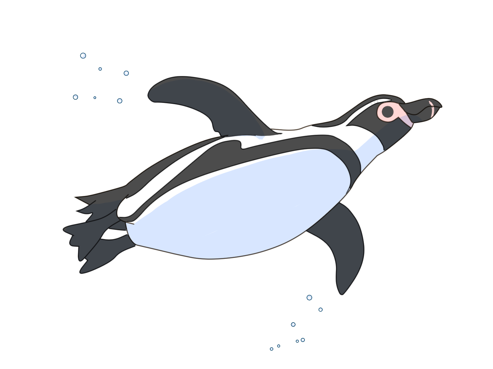 ペンギン