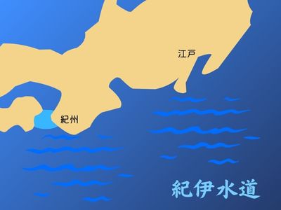 紀伊水道の生き物