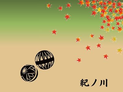 紀ノ川の生き物
