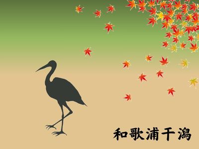 和歌浦干潟の生き物