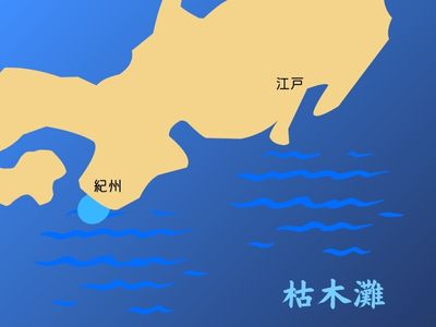 枯木灘の生き物