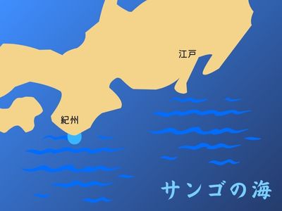 サンゴ礁の生き物
