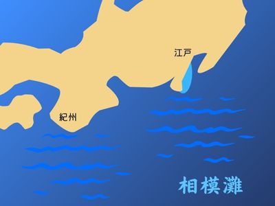 相模灘の生き物