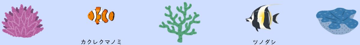 サンゴの海