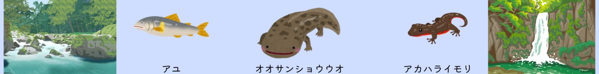 熊野の森